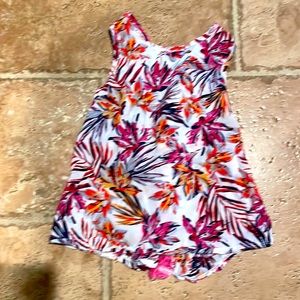 Splendid Summer Flowers